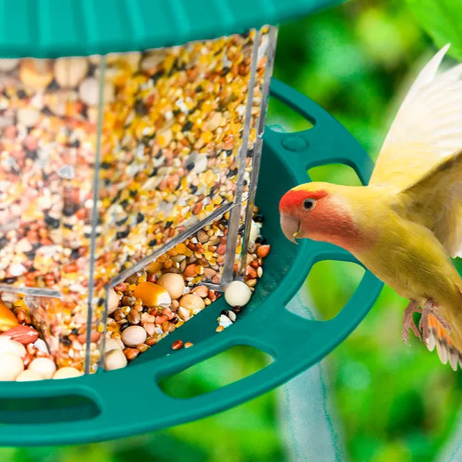 ZENHAVEN HANGING BIRD FEEDER