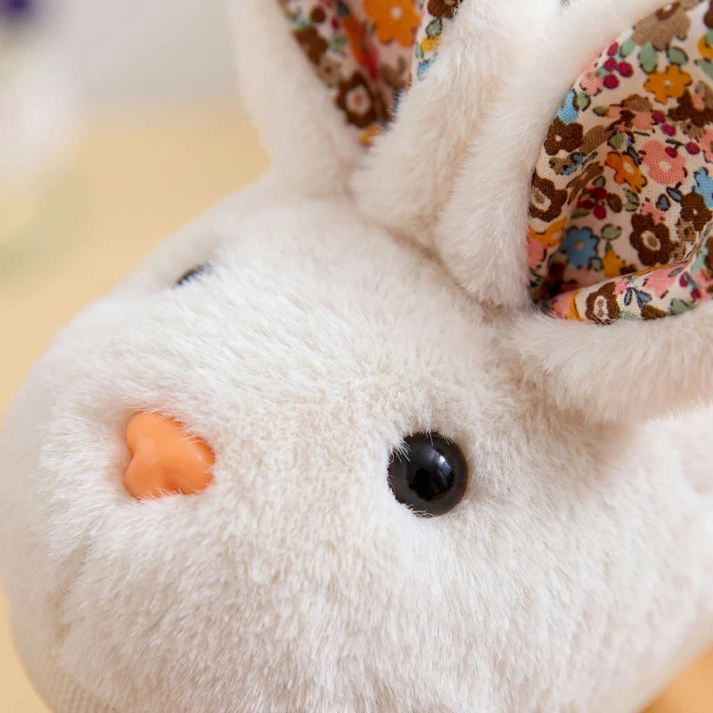 BunnyPaws - Limited Time Offer