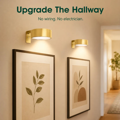 Galerie Art Display Lights