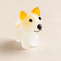 Shiba